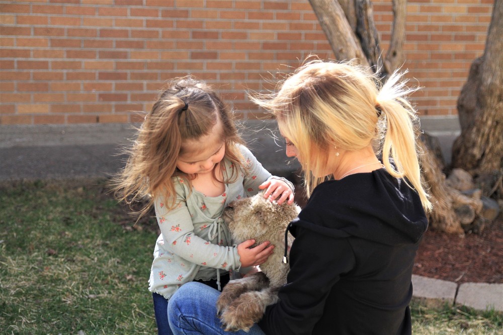 Petting Zoo Visits Klamath Early Childhood Development Center